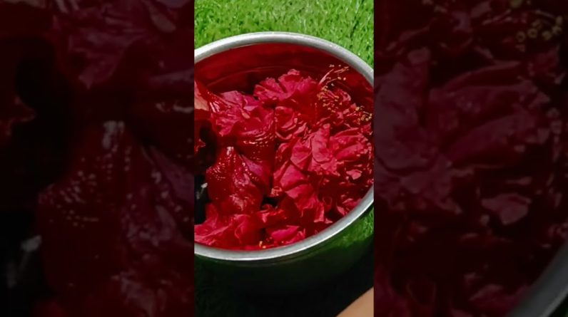 Maxresdefault 29 796x445